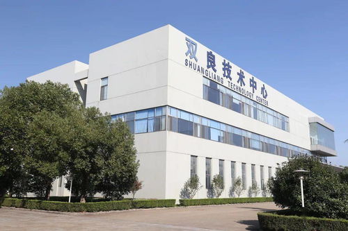 雙碳愿景下的綠色科技之路 雙良集團與發展中的不期而遇